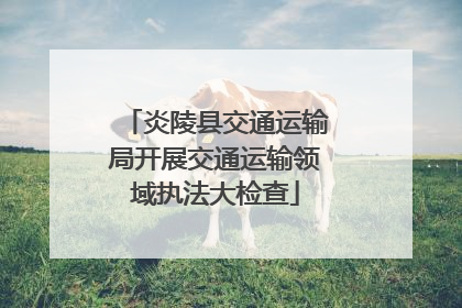 炎陵县交通运输局开展交通运输领域执法大检查