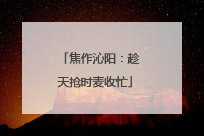 焦作沁阳：趁天抢时麦收忙