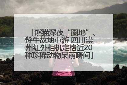 熊猫深夜“圈地”、羚牛故地重游 四川崇州红外相机定格近20种珍稀动物呆萌瞬间