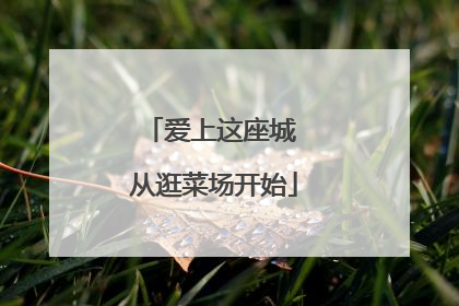 爱上这座城 从逛菜场开始