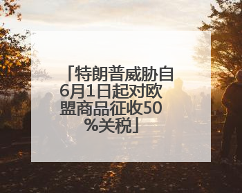 特朗普威胁自6月1日起对欧盟商品征收50%关税