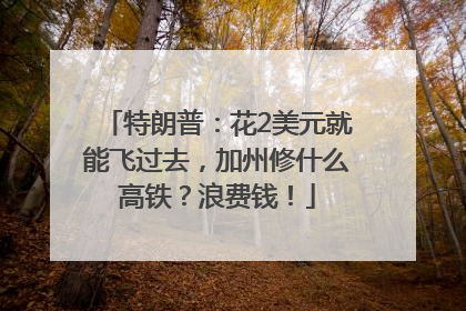 特朗普：花2美元就能飞过去，加州修什么高铁？浪费钱！