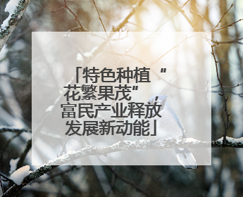 特色种植“花繁果茂”，富民产业释放发展新动能