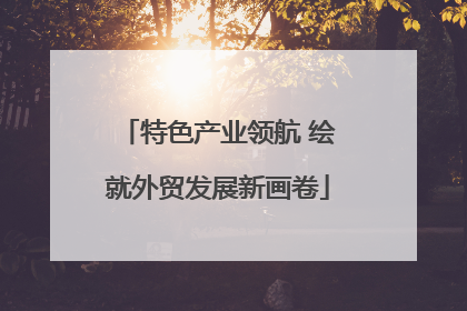 特色产业领航 绘就外贸发展新画卷