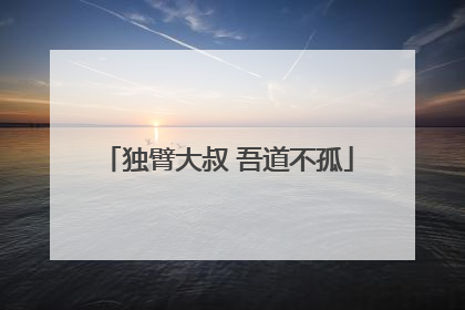 独臂大叔 吾道不孤