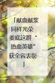献血献浆同样光荣 娄底这群“热血英雄”获全省表彰