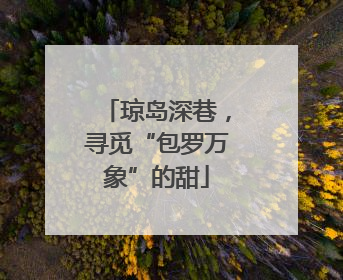 琼岛深巷，寻觅“包罗万象”的甜