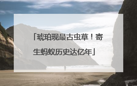 琥珀现最古虫草！寄生蚂蚁历史达亿年
