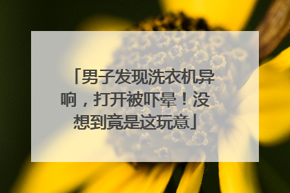 男子发现洗衣机异响，打开被吓晕！没想到竟是这玩意