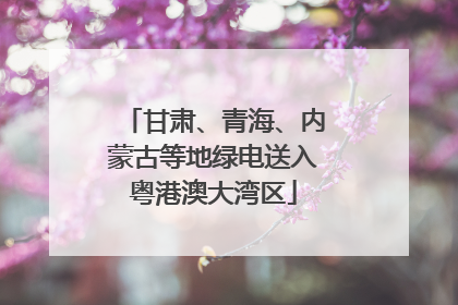甘肃、青海、内蒙古等地绿电送入粤港澳大湾区