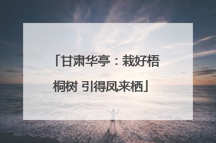 甘肃华亭：栽好梧桐树 引得凤来栖