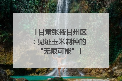 甘肃张掖甘州区：见证玉米制种的“无限可能”