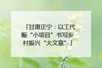 甘肃正宁：以工代赈“小项目”书写乡村振兴“大文章”
