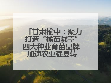 甘肃榆中：聚力打造“榆苗陇萃”四大种业育苗品牌 加速农业强县转型步伐