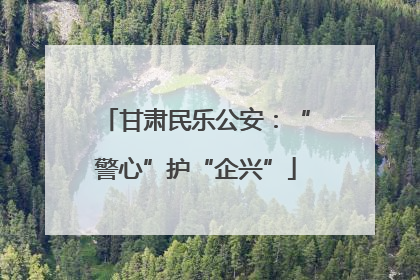 甘肃民乐公安：“警心”护“企兴”