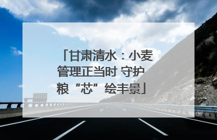 甘肃清水：小麦管理正当时 守护粮“芯”绘丰景