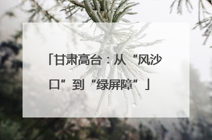 甘肃高台：从“风沙口”到“绿屏障”