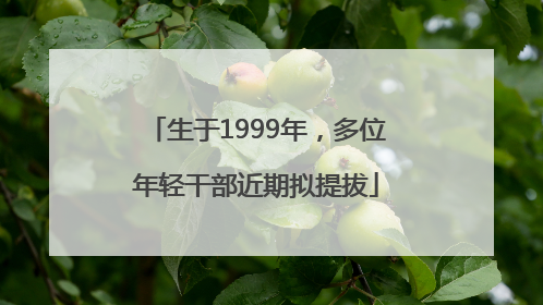 生于1999年，多位年轻干部近期拟提拔