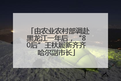 由农业农村部调赴黑龙江一年后，“80后”王杕履新齐齐哈尔副市长