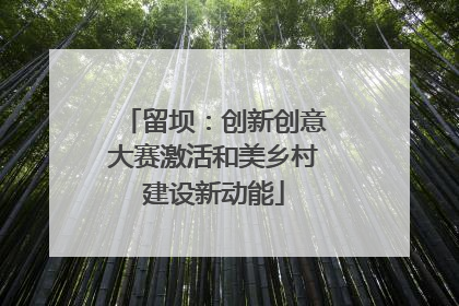 留坝：创新创意大赛激活和美乡村建设新动能
