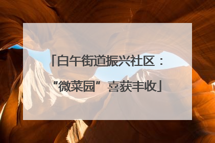 白午街道振兴社区：“微菜园”喜获丰收