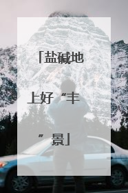 盐碱地上好“丰”景