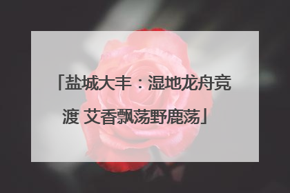 盐城大丰：湿地龙舟竞渡 艾香飘荡野鹿荡