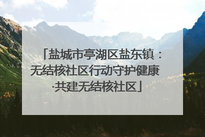 盐城市亭湖区盐东镇：无结核社区行动守护健康 ·共建无结核社区