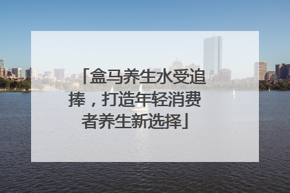 盒马养生水受追捧，打造年轻消费者养生新选择