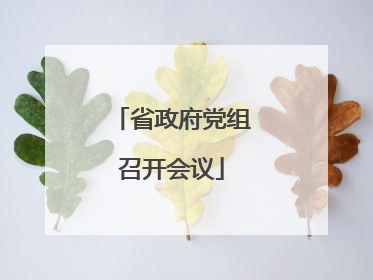 省政府党组召开会议