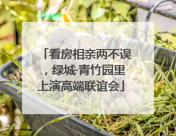 看房相亲两不误，绿城·青竹园里上演高端联谊会