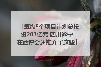 签约8个项目计划总投资203亿元 四川遂宁在西博会还推介了这些