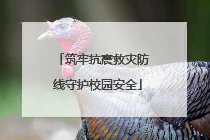 筑牢抗震救灾防线守护校园安全