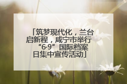 筑梦现代化，兰台启新程，咸宁市举行“6·9”国际档案日集中宣传活动