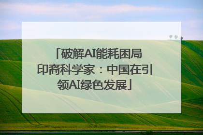 破解AI能耗困局 印裔科学家：中国在引领AI绿色发展