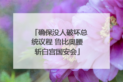 确保没人破坏总统议程 鲁比奥腰斩白宫国安会