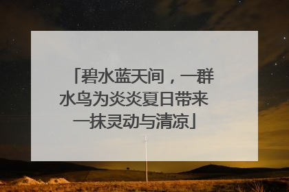 碧水蓝天间，一群水鸟为炎炎夏日带来一抹灵动与清凉
