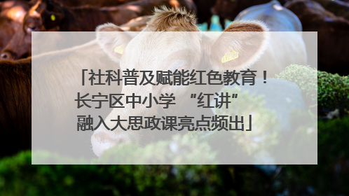社科普及赋能红色教育！长宁区中小学 “红讲” 融入大思政课亮点频出
