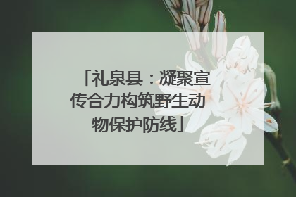 礼泉县：凝聚宣传合力构筑野生动物保护防线
