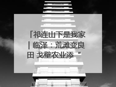 祁连山下是我家｜临泽：荒滩变良田 戈壁农业添“绿”生“金”