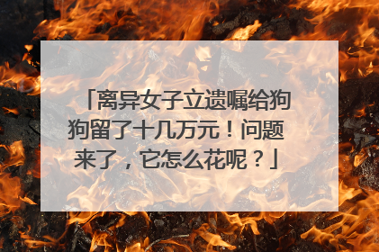 离异女子立遗嘱给狗狗留了十几万元！问题来了，它怎么花呢？
