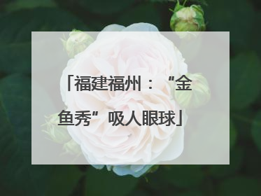 福建福州：“金鱼秀”吸人眼球