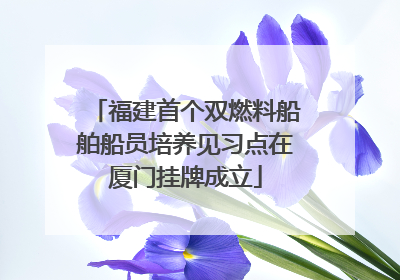 福建首个双燃料船舶船员培养见习点在厦门挂牌成立