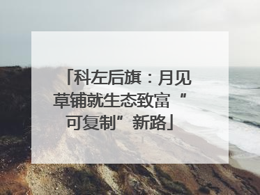 科左后旗：月见草铺就生态致富“可复制”新路