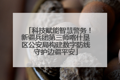 科技赋能智慧警务！新疆兵团第三师喀什垦区公安局构建数字防线守护边疆平安