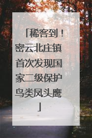 稀客到！密云北庄镇首次发现国家二级保护鸟类凤头鹰