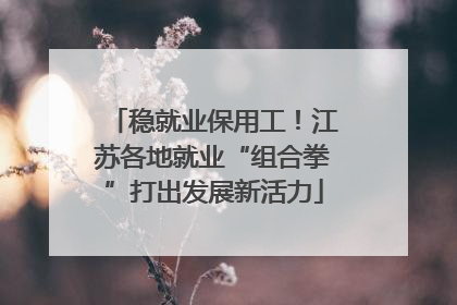 稳就业保用工！江苏各地就业“组合拳”打出发展新活力