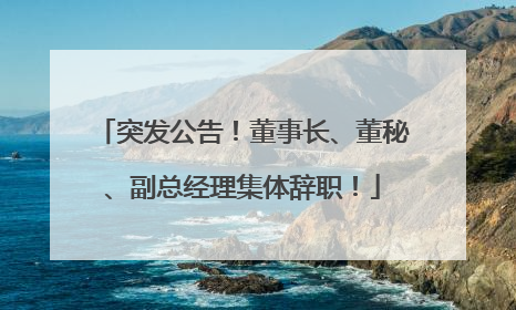 突发公告！董事长、董秘、副总经理集体辞职！