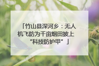 竹山县深河乡：无人机飞防为千亩烟田披上“科技防护甲”