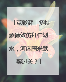 竞彩湃｜多特蒙德效仿拜仁划水，河床国米默契过关？